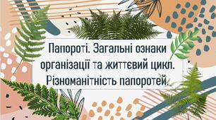 Папороті. Загальні ознаки організації та життєвий цикл. Різноманітність папоротей.