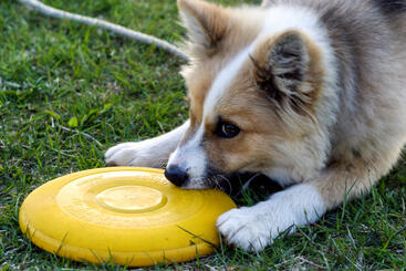 0601z9qc-b8a6-367x245.jpg