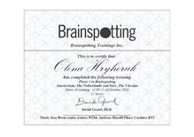  Brainspotting Trainings Inc. Amsterdam, The Netherlands and Kiev, The Ukraine