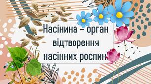 Насінина – орган відтворення насінних рослин.