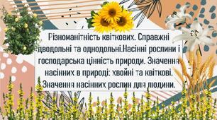 Різноманітність квіткових. Справжні дводольні та однодольні.Насінні рослини і господарська цінність природи. Значення насінних в природі: хвойні та квіткові. Значення насінних рослин для людини.