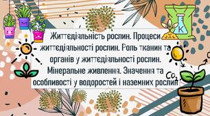 Життєдіяльність рослин. Процесижиттєдіяльності рослин. Роль тканин та органів у життєдіяльності рослин. Мінеральне живлення. Значення та особливості у водоростей і наземних рослин