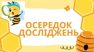 НУШ. Освітній простір. БДЖІЛКИ_STYLE."Осередки"