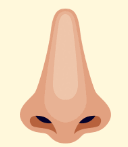 0601ze7r-2f4f-128x147.png