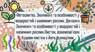 Фотосинтез. Значення та особливості у водоростей і наземних рослин. Дихання. Значення та особливості у водоростей і наземних рослин.Листок, взаємозв’язок будови листка з його функціями.