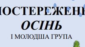 Спостереження Осінь І молодша група
