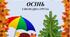 СПОСТЕРЕЖЕННЯ  ОСІНЬ  І МОЛОДША ГРУПА