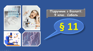 Клітина та її дослідження