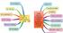 Present Simple or Present Continuous