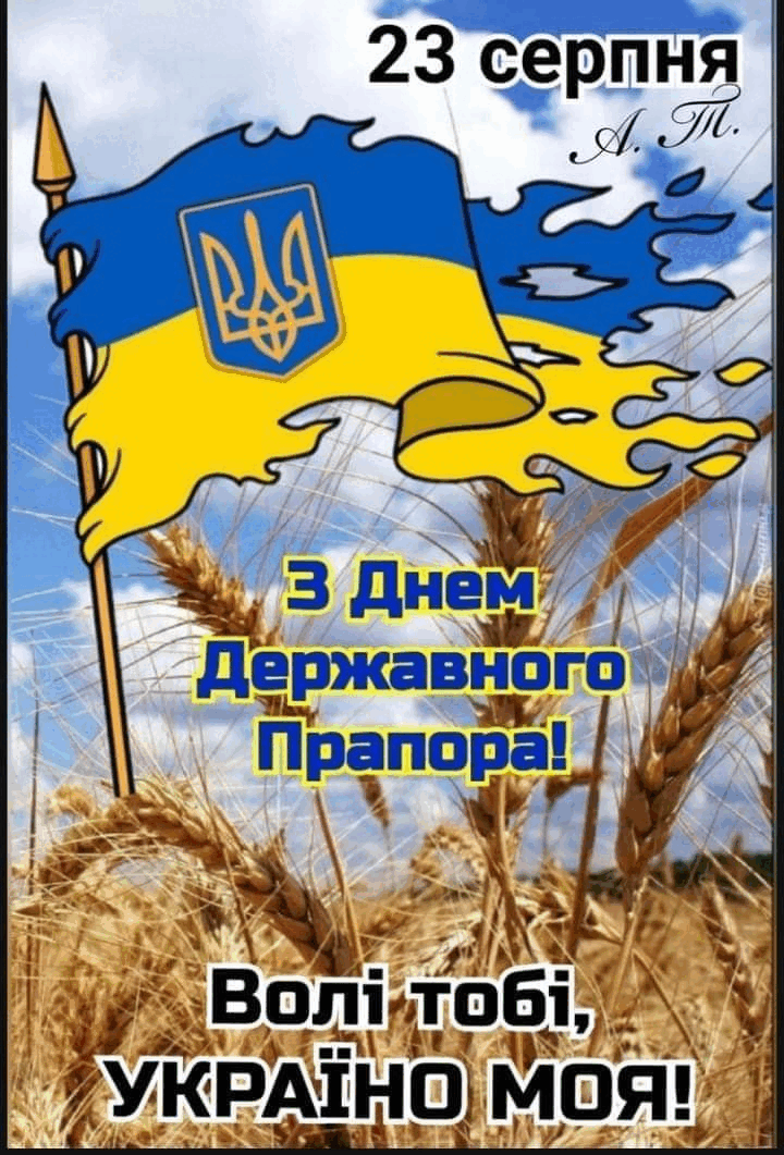 0601zmib-085e-720x1061.png