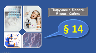 Цитоплазма та основні клітинні органели