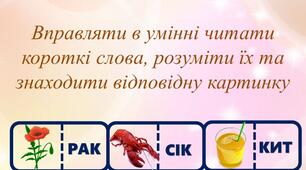Індивідуальний навчальний план  6-А кл. Українська мова 1-2сем.   ( Модифікація. 62 годин, на тиждень 1,75 год.)