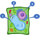 0601zmyn-a405-165x147.png