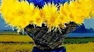 Школо, зустрічай нас радо!