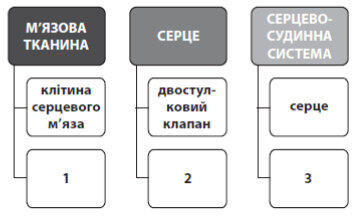 0601zo25-ce00-356x218.jpg