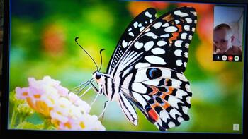 0601zowq-7620-350x197.jpg