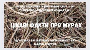 Відео" Цікаві факти про мурах"