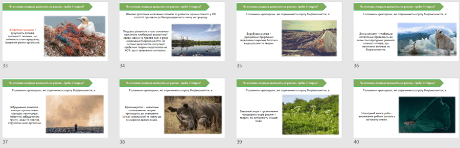 0601zsse-8883-940x302.png