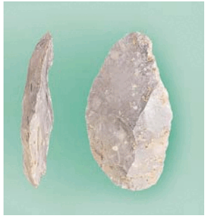 0601ztnr-a22d-294x309.png