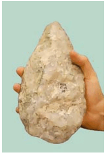 0601zto1-1d42-290x422.png