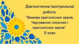 Діагностична (контрольна) робота "Вимова приголосних звуків. Чергування голосних і приголосних звуків"