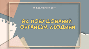 Презентація "Як побудований  організм людини"