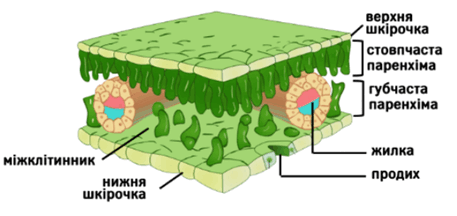 0601zwwi-48aa-457x216.png