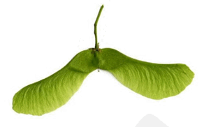 0601zwww-c05e-292x182.png
