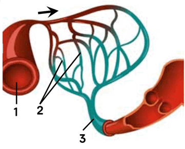 0601zx26-8b42-361x291.png