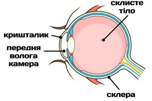 0601zx2p-930d-496x330.png