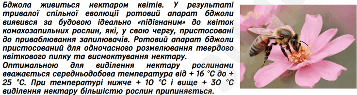 0601zx4w-982e-736x197.png