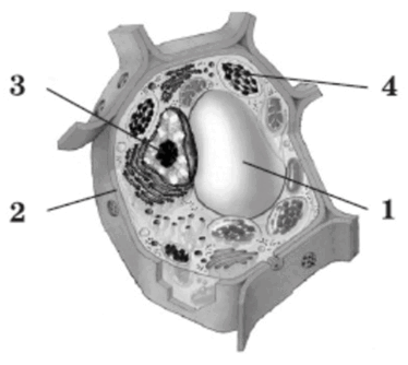 0601zx7i-63d1-374x334.png