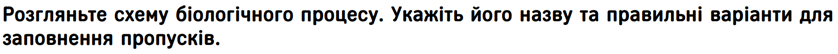 0601zx9u-4de0-838x54.png