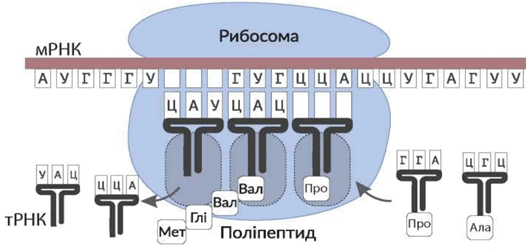 0601zx9w-8754-526x250.png