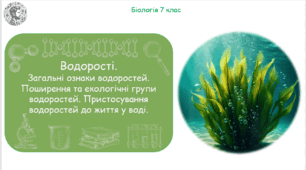 Урок на тему "Водорості. Загальні ознаки водоростей. Поширення та екологічні групи водоростей. Пристосування водоростей до життя у воді" (Конспект, презентація, робочі аркуші)