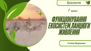 Функціонування екосистем. Ланцюги живлення. 7 клас. НУШ