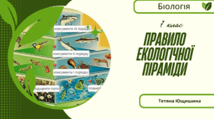 Правило екологічної піраміди. 7 клас. НУШ