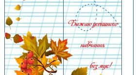Футляр для ручки