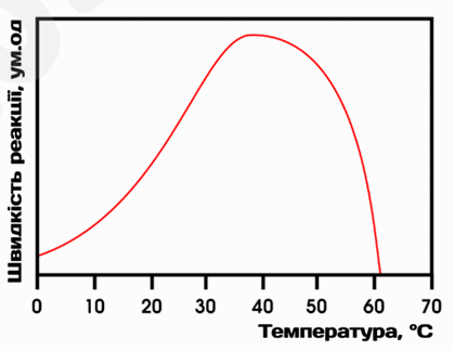 060200ph-2a38-419x324.png