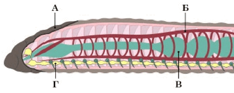 060200vm-e90f-474x190.png