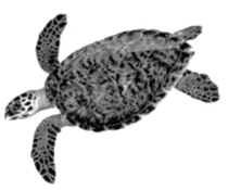 060200vx-e41a-210x175.png