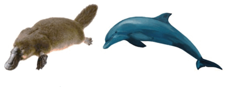 060200vy-bbe6-468x178.png