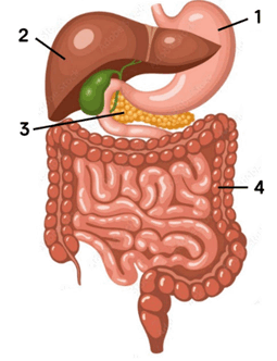 0602014r-83ad-255x332.png