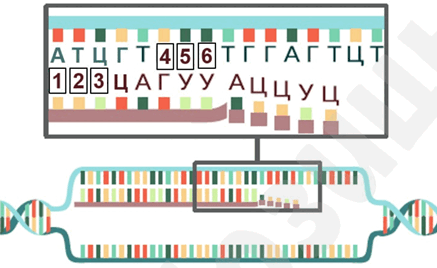 06020163-be99-437x268.png