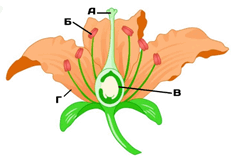 060201rv-d3d6-234x161.png