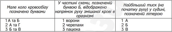 0602023v-19c7-733x140.png