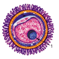 0602028f-ffd9-200x200.png