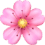 🌸