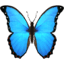 🦋