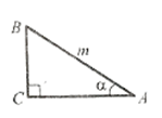 060205xf-ff3d-149x109.png